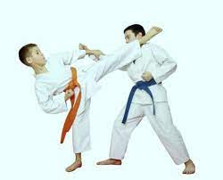 Judo Karate